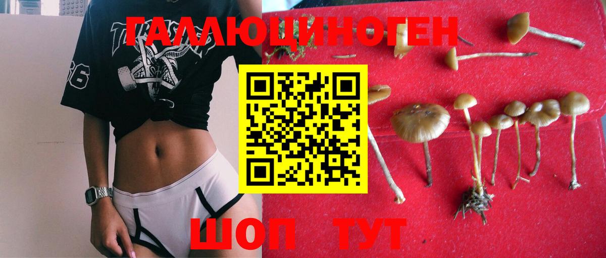 Псилоцибиновые грибы мухоморы Курчатов